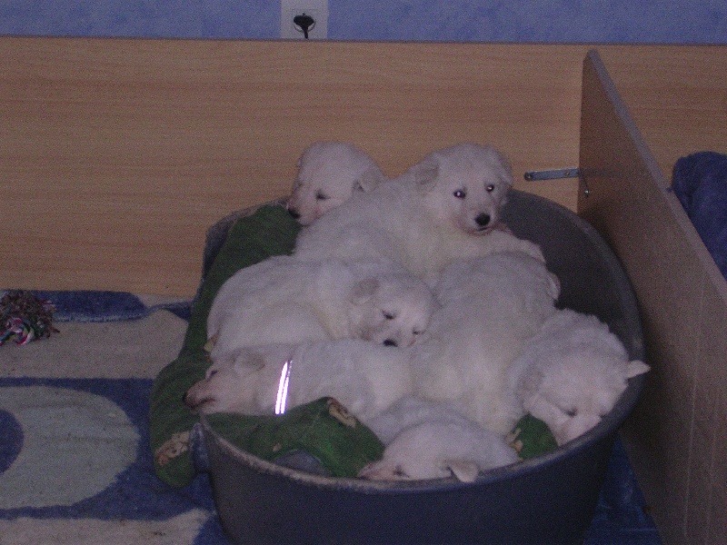 la portée 2008