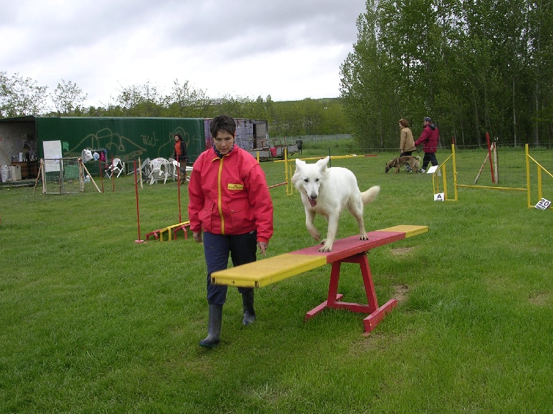 Agility